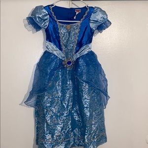 Cinderella Costume!